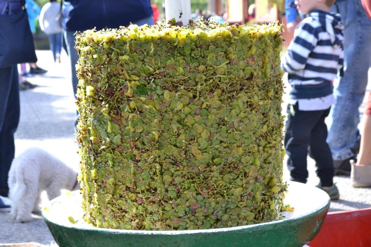 Penzion Sedlecka Vina Sedlec  Bagian luar foto