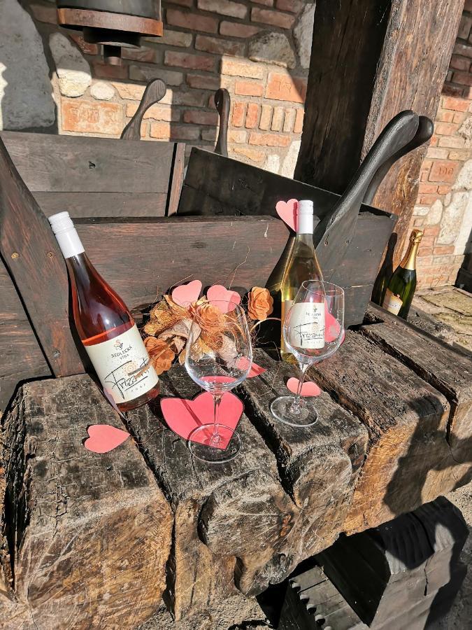 Penzion Sedlecka Vina Sedlec  Bagian luar foto